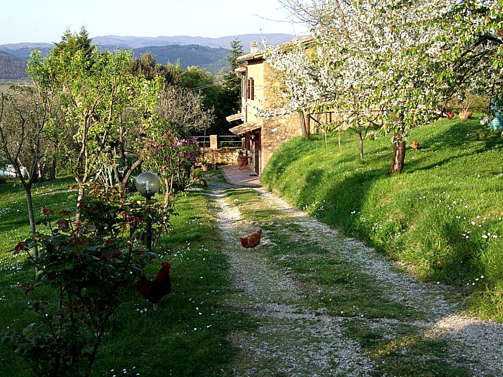 Podere La Vigna