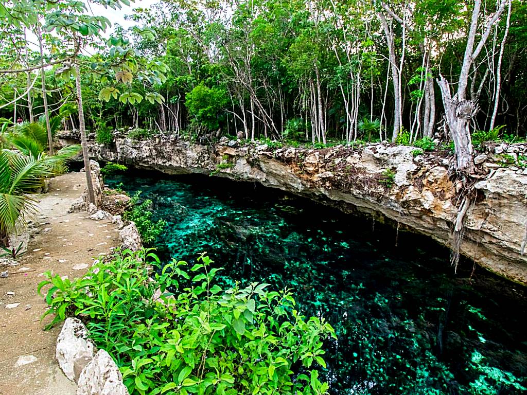 Cenotes Casa Tortuga Tulum